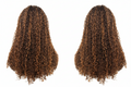 Arrena Luxe Premium Wig – Soft, Full & Natural Look ✨ 22 inch Ombre curly 2*4 Glueless Wig – Wet & Wavy | 100% Human Hair